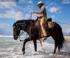 Cowboy door de zee