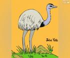 De nandoe is een vogel die niet kunnen vliegen, een soort die inheems in Zuid-Amerika, net als de struisvogel en de emu. Een tekening van Julieta Vitali