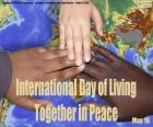 Internationale Dag van samenleven in vrede