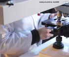 Wetenschapper met een microscoop in het laboratorium