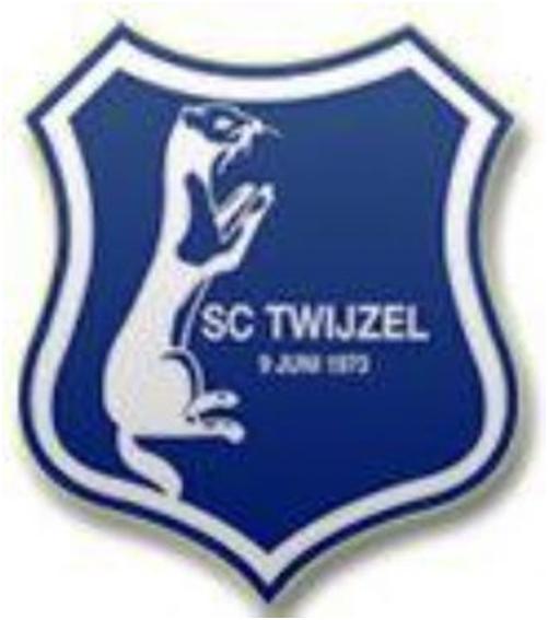 sc twijzel puzzle